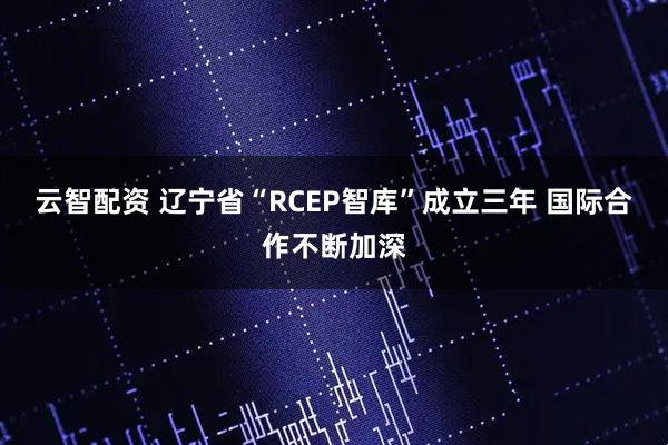 云智配资 辽宁省“RCEP智库”成立三年 国际合作不断加深