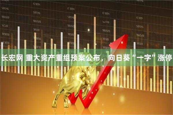 长宏网 重大资产重组预案公布，向日葵“一字”涨停