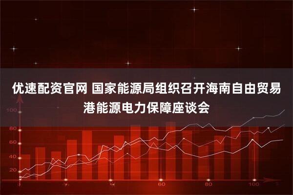 优速配资官网 国家能源局组织召开海南自由贸易港能源电力保障座谈会