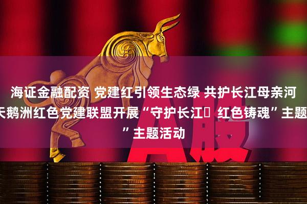 海证金融配资 党建红引领生态绿 共护长江母亲河——天鹅洲红色党建联盟开展“守护长江・红色铸魂”主题活动
